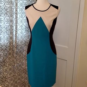 Calvin Klein Color Block Dress